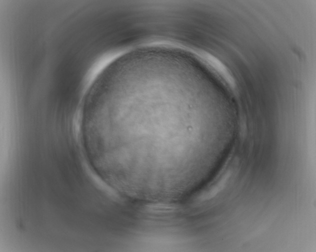 X0000114220863200910231442