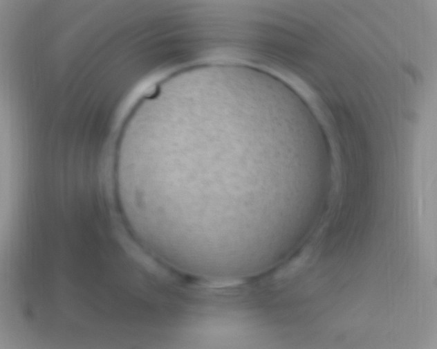 X0000114220864200910231442