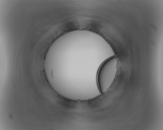 X0000114220865200910231441