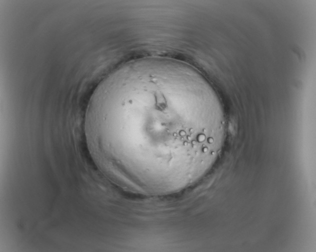 X0000114220867200910231441