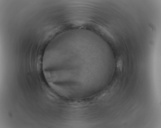 X0000114220868200910231441