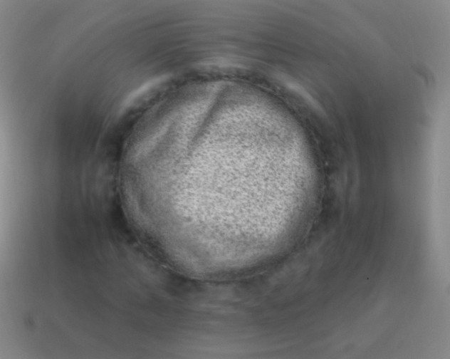 X0000114220870200910231441