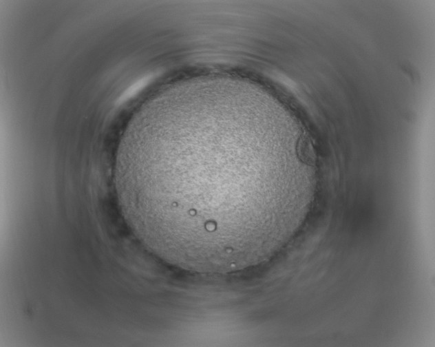 X0000114220871200910231441