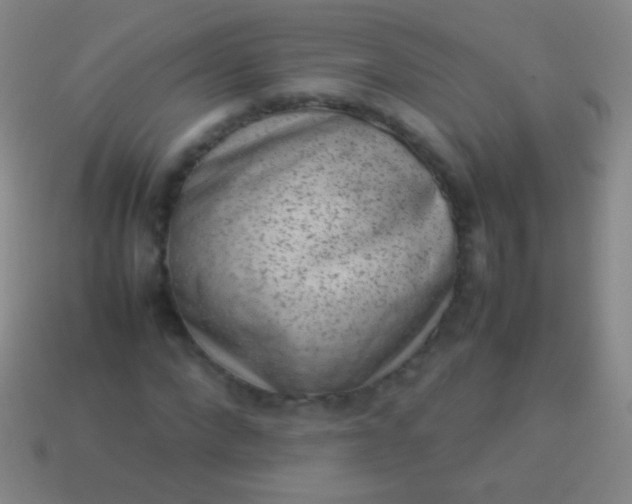 X0000114220872200910231441