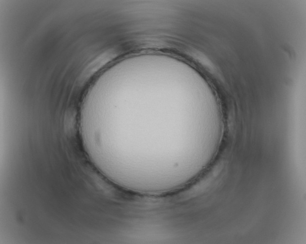 X0000114220873200910231441