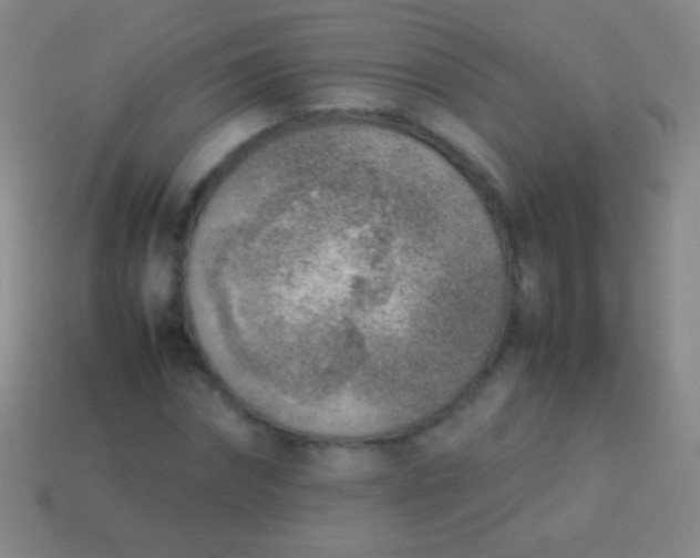 X0000114220874200910231441