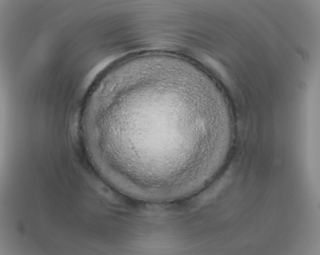 X0000114220875200910231441