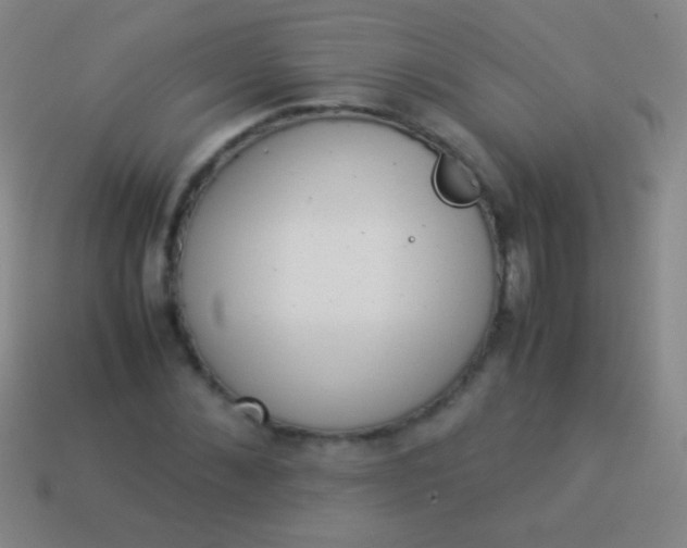 X0000114220876200910231441