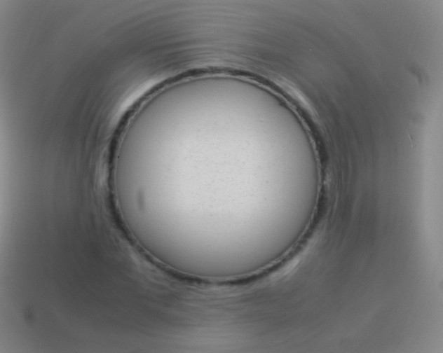 X0000114220877200910231441