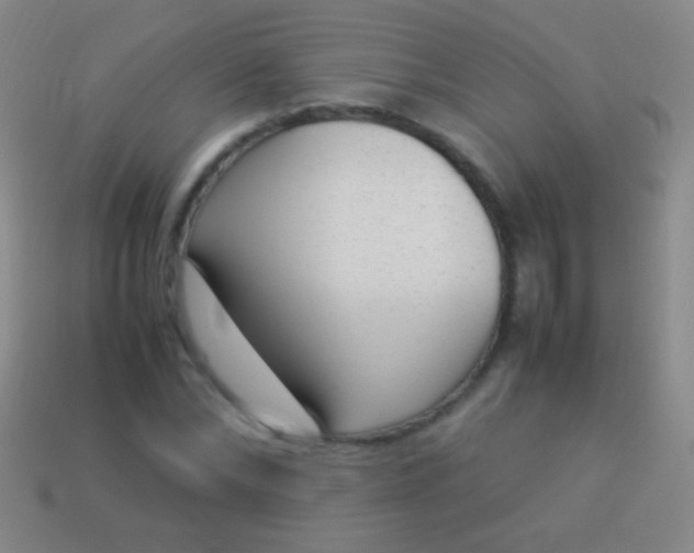 X0000114220878200910231441