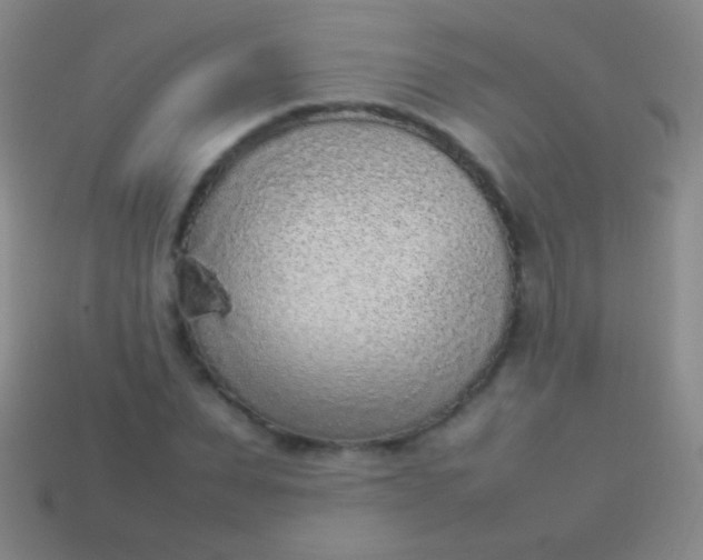 X0000114220879200910231441