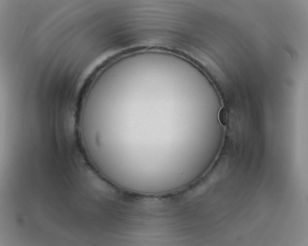 X0000114220880200910231441