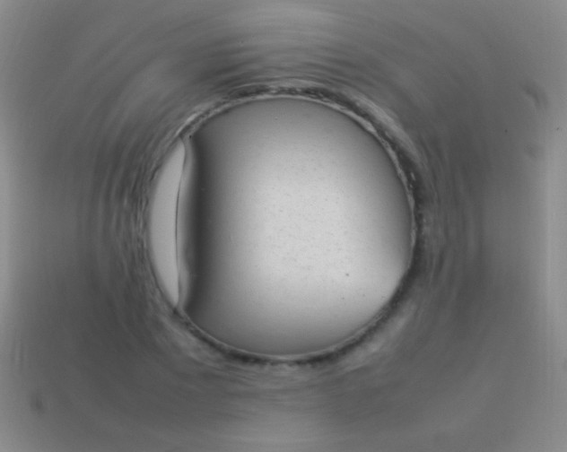 X0000114220881200910231441