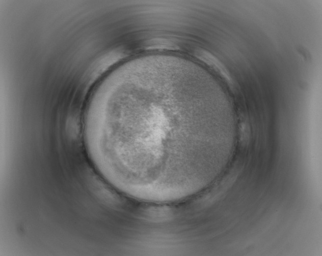 X0000114220882200910231441