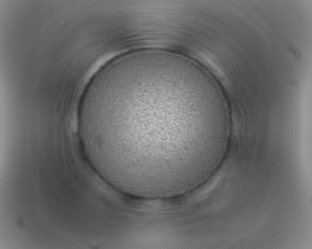 X0000114220883200910231441