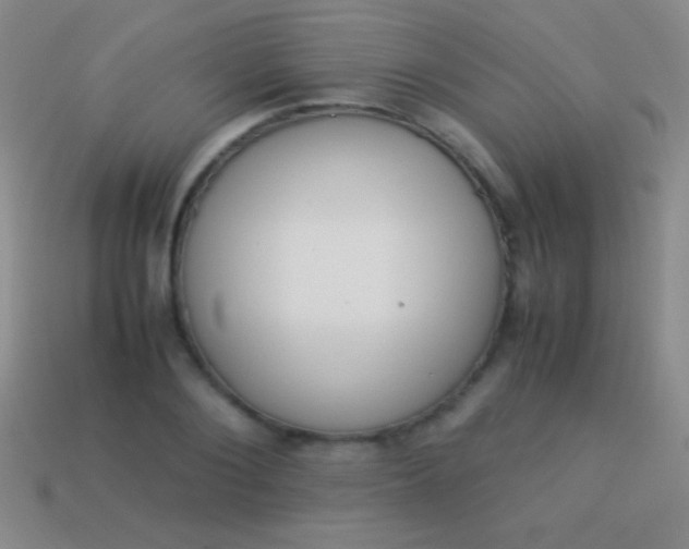 X0000114220884200910231441