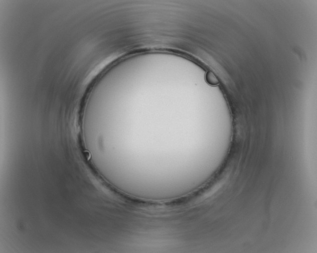 X0000114220885200910231441