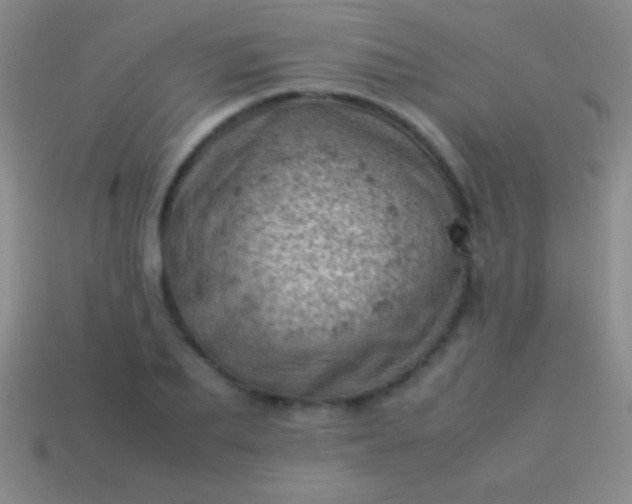 X0000114220887200910231441