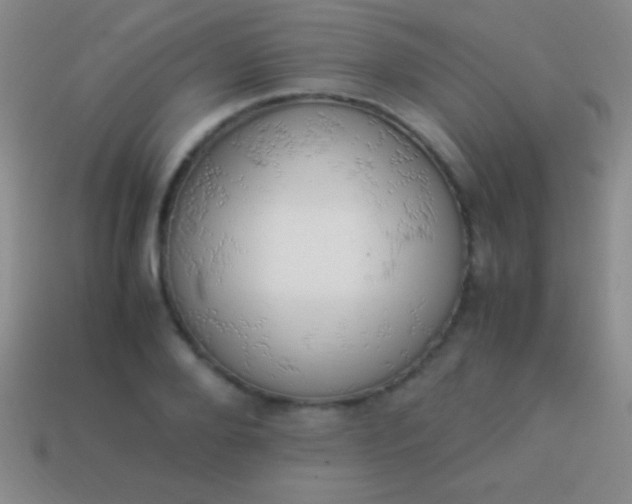 X0000114220888200910231441