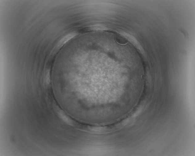 X0000114220889200910231441