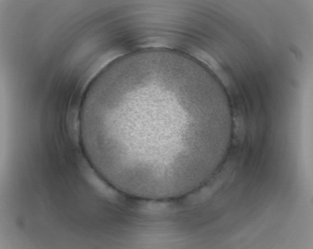 X0000114220890200910231441