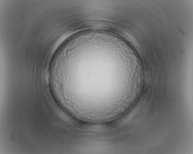 X0000114220891200910231441