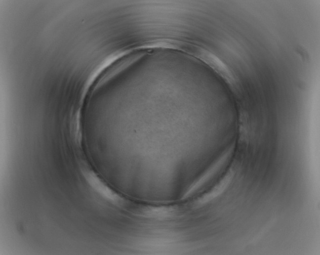 X0000114220892200910231441