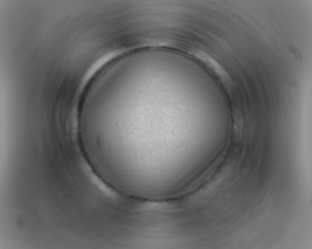 X0000114220894200910231441