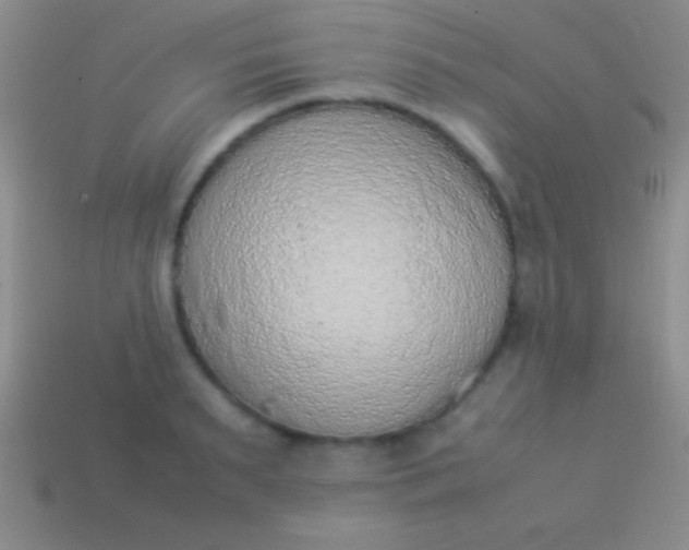 X0000114220895200910231441