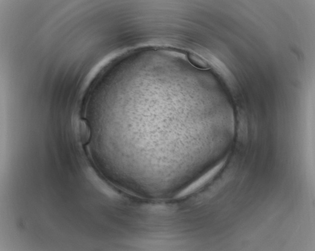 X0000114220896200910231441