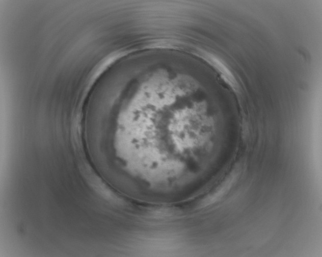 X0000114220899200910231441