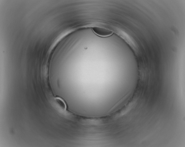 X0000114220900200910231441