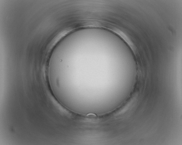 X0000114220901200910231441