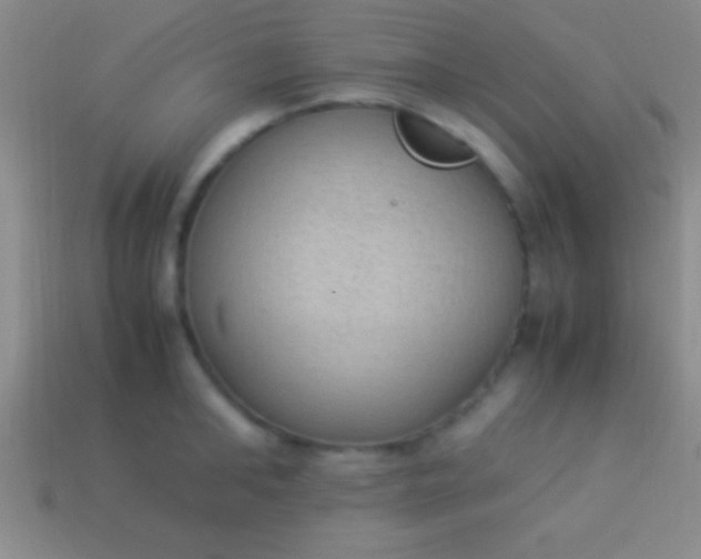 X0000114220902200910231440