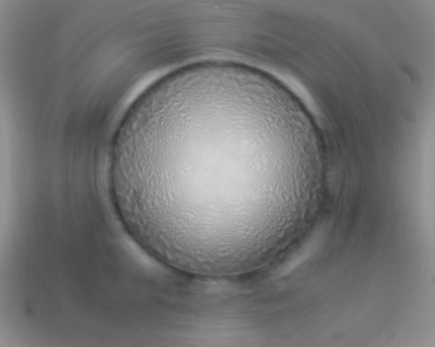 X0000114220903200910231440