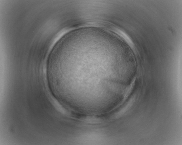 X0000114220907200910231440