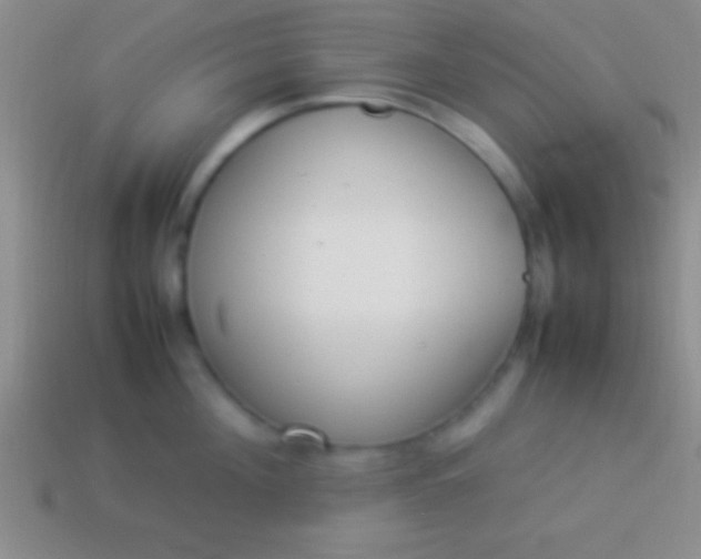 X0000114220908200910231440