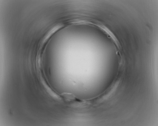 X0000114220909200910231440