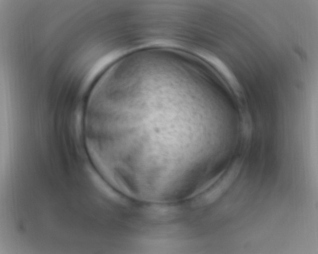 X0000114220910200910231440