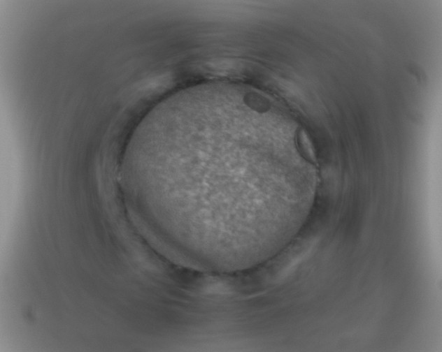 X0000114220913200910231440