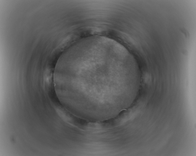 X0000114220914200910231440