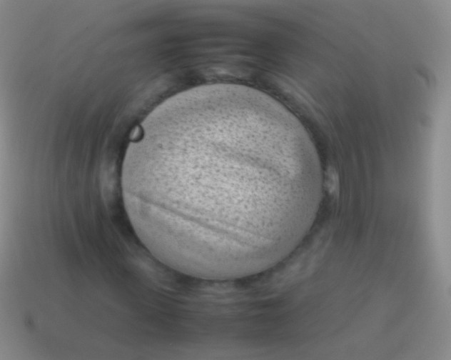 X0000114220915200910231440