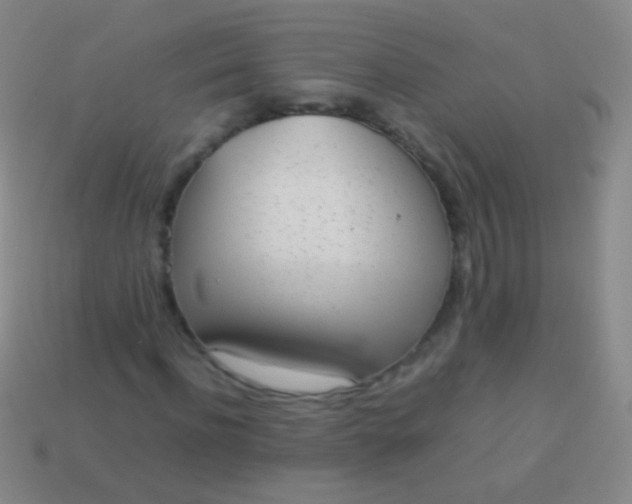 X0000114220916200910231440