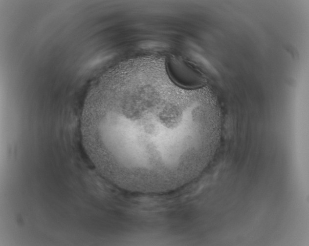 X0000114220917200910231440