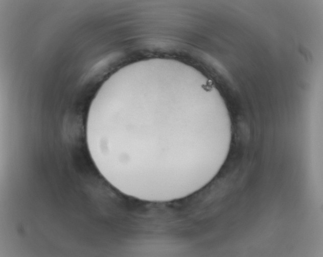 X0000114220918200910231440