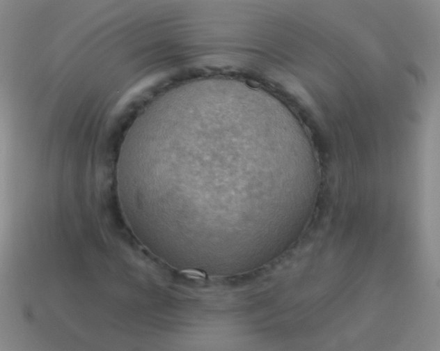 X0000114220920200910231440