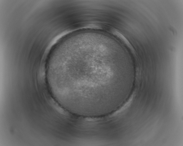 X0000114220923200910231440