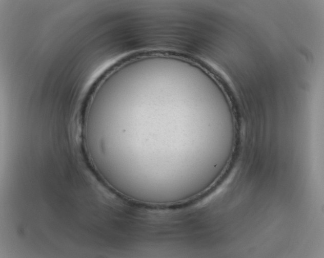 X0000114220925200910231440