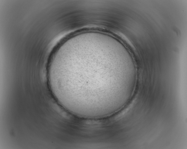 X0000114220927200910231440