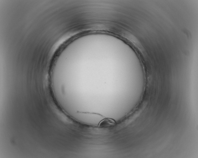 X0000114220928200910231440